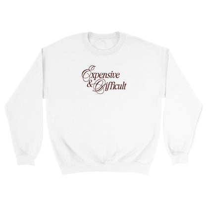 expensive and difficult embroidered on a white sweatshirt