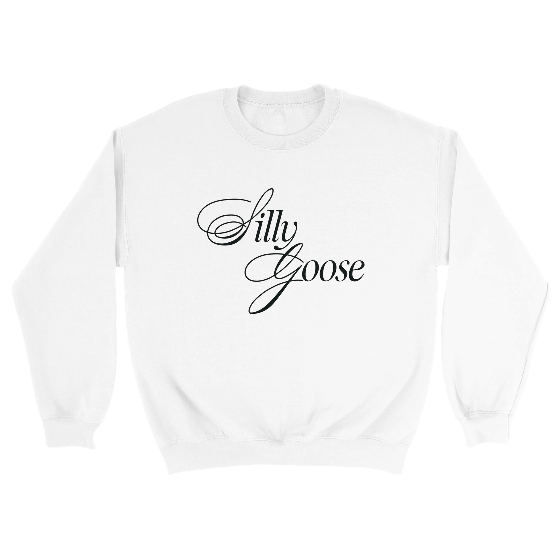 a white sweater with the word Silly Goose printed on
